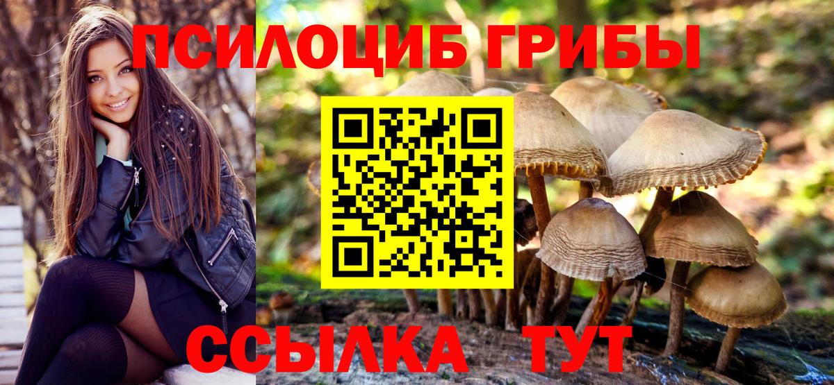 Муром  Галлюциногенные грибы Cubensis  Вход с VPN 