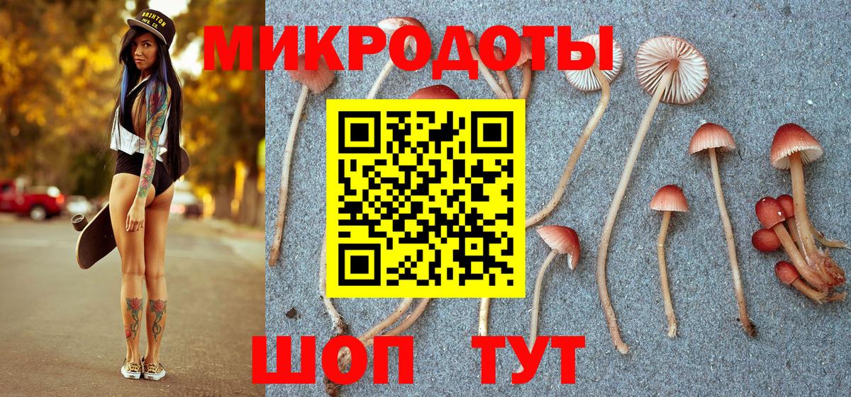 Псилоцибиновые грибы Psilocybine cubensis Муром
