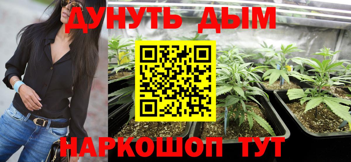 Муром  Бошки марихуана Amnesia  Каннабис планчик  Вход с VPN  Бошки Шишки LSD WEED  Канабис гибрид 